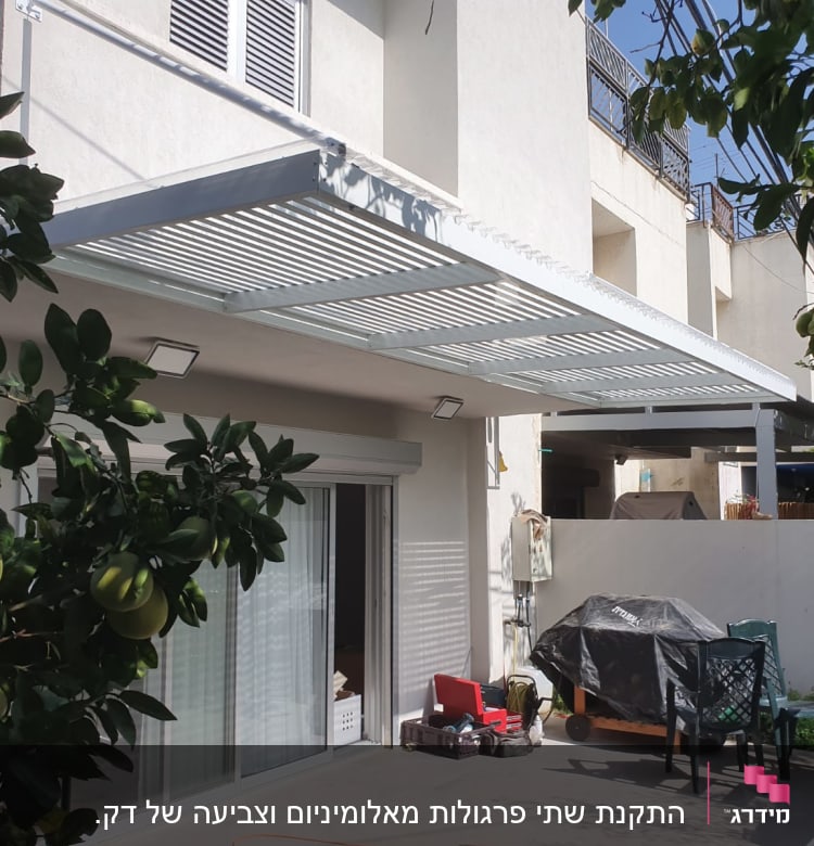 עץ עם פירות ליד פרגולה בחצר בית